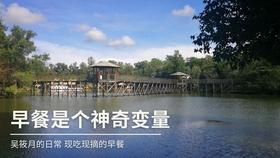 虎胆熊威2中文无敌版