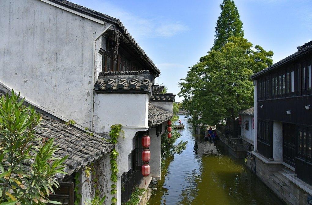 (法治)法 • 视界 | 500斤重黄牛被困!消防员“拔河”救牛